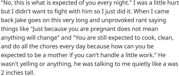 OP was hurt, but she did it. Jake then went on a long and unprovoked rant, telling OP that just because she is pregnant, it does not mean anything will change and that she is still expected to cook, clean, and do all the chores every day.