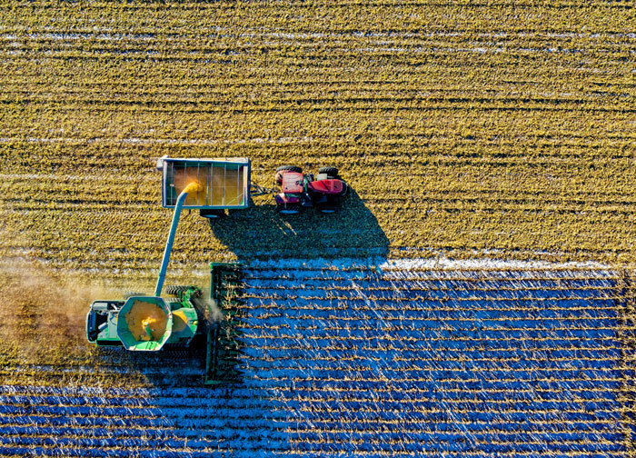 Farmer
