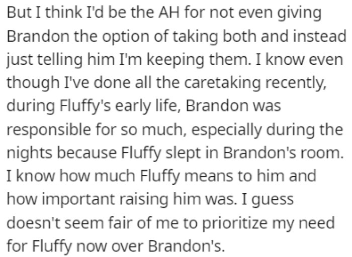 OP has no idea what to do now because he doesn't want to lose his cats