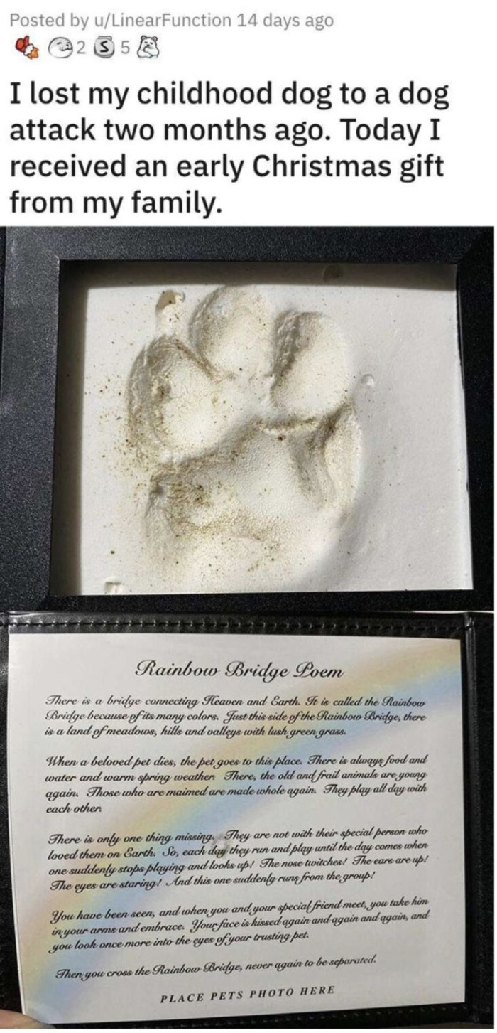 15. A precious gift from my family to me