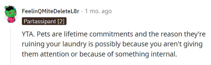 Pets are lifelong commitments, and addressing their behavior issues requires understanding and attention.