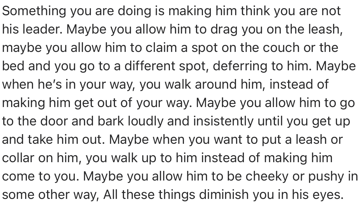 The User Further Explained That OP Might Not Be Acting Like a Leader Around the Dog