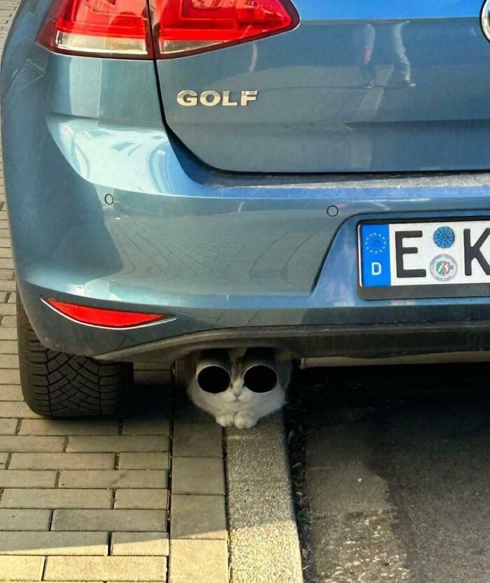"A cool car, when you see it."