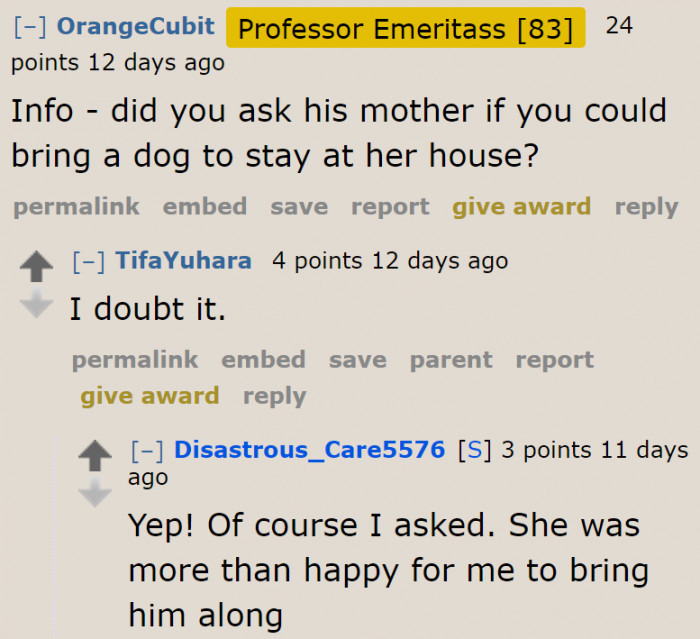 Other people wanted to know if she actually asked permission from her boyfriend's mom.