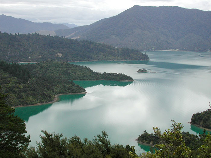 Queen Charlotte Track, New Zealand - 45 Miles