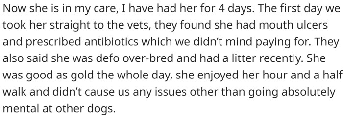 The OP agreed to take the dog in, finding out that she was good on the lead, good while walking, and was scared of men and didn't like cats