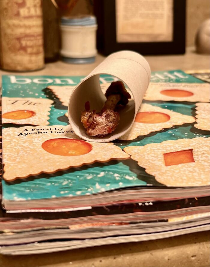 This One Is Why I Will Never Share My Home With A Man Again