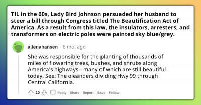 Check Out This Incredible Moment In History Where Lady Bird Johnson Encouraged Her Husband To Steer The Beautification Act Of America