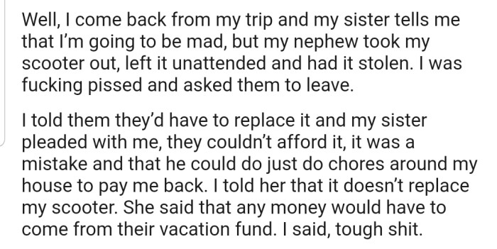 While on a business trip, OP's nephew took the scooter out and lost it. Now OP is mad and wants their sister to take responsibility for what her son did