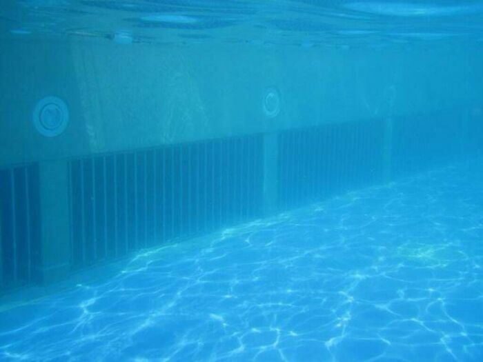 "These Things In A Wave Pool. I'm A Grown Man, And I Still Can't Swim Or Dive Anywhere Near Those Things"