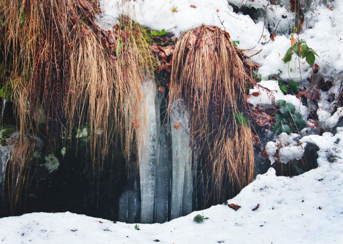 17. Have you seen a more beautiful photo recently?