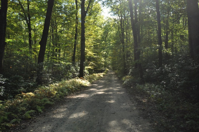 Bara-Hack and Connecticut's Lost Villages