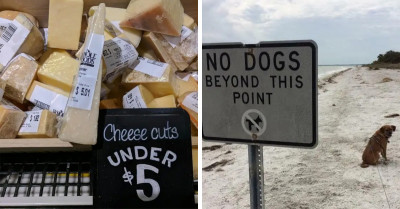 26 Pictures That Prove That People Don’t Actually Like Being Told What or What Not to Do
