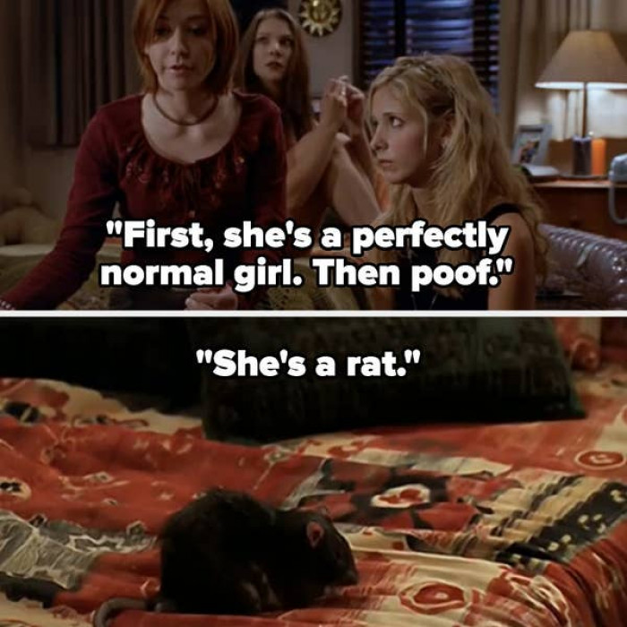 Despite Willow having a pet rat on a few occasions, it looks like the program has forgotten about her. However, in Season 4, Willow inadvertently renders Amy human once more for a split second before turning around.