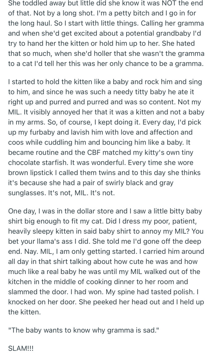 OP took the pleasure of consistently treating her cat like a baby, and you bet her MIL was enraged throughout the ordeal
