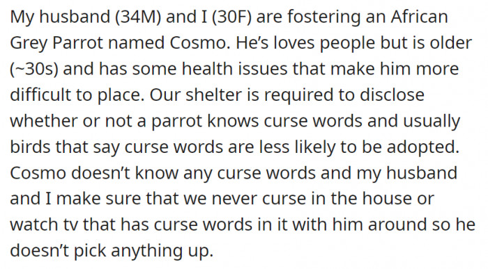 OP and her husband are foster parents to an older parrot named Cosmo—he loves people and has some health issues, making it hard for him to be placed into a home. In the shelter where he is from, it is a requirement to reveal if a parrot knows curse words (if they do, they are less likely to be adopted), so the couple makes sure they don’t curse around Cosmo.