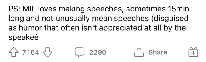 She went on to add that it wasn't unusual for her MIL to make extremely long and mean speeches.