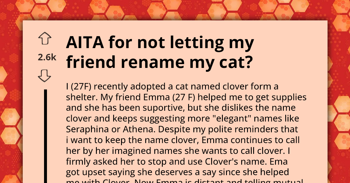 New Cat Owner Clashes With Friend Who Thinks Helping Out Gives Her Right To Rename Cat