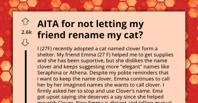 New Cat Owner Clashes With Friend Who Thinks Helping Out Gives Her Right To Rename Cat