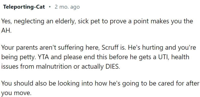 OP is making his dog suffer just to prove a point.