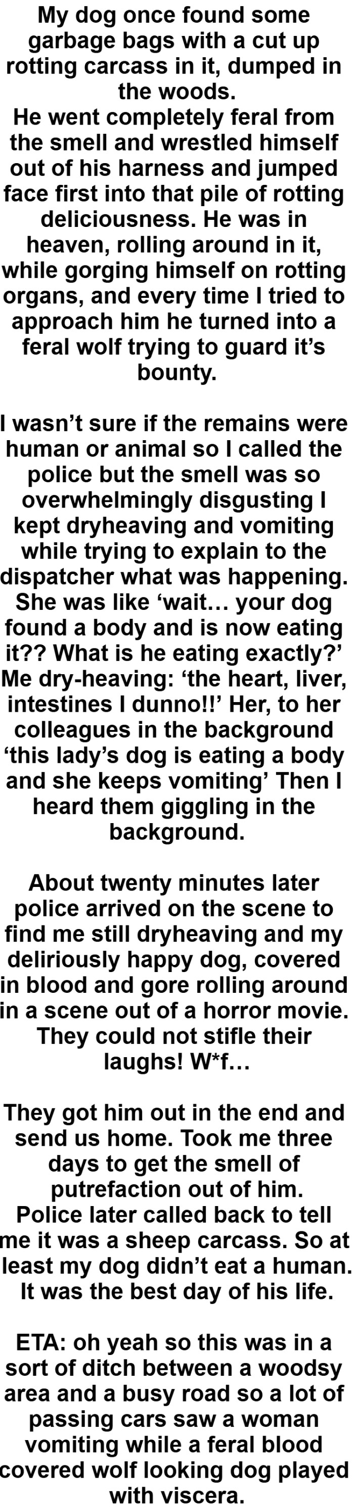 12. Comment by Redditor putapadrino