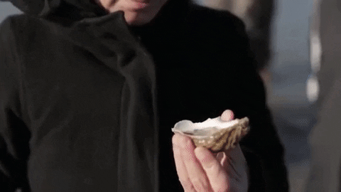 8. Oysters