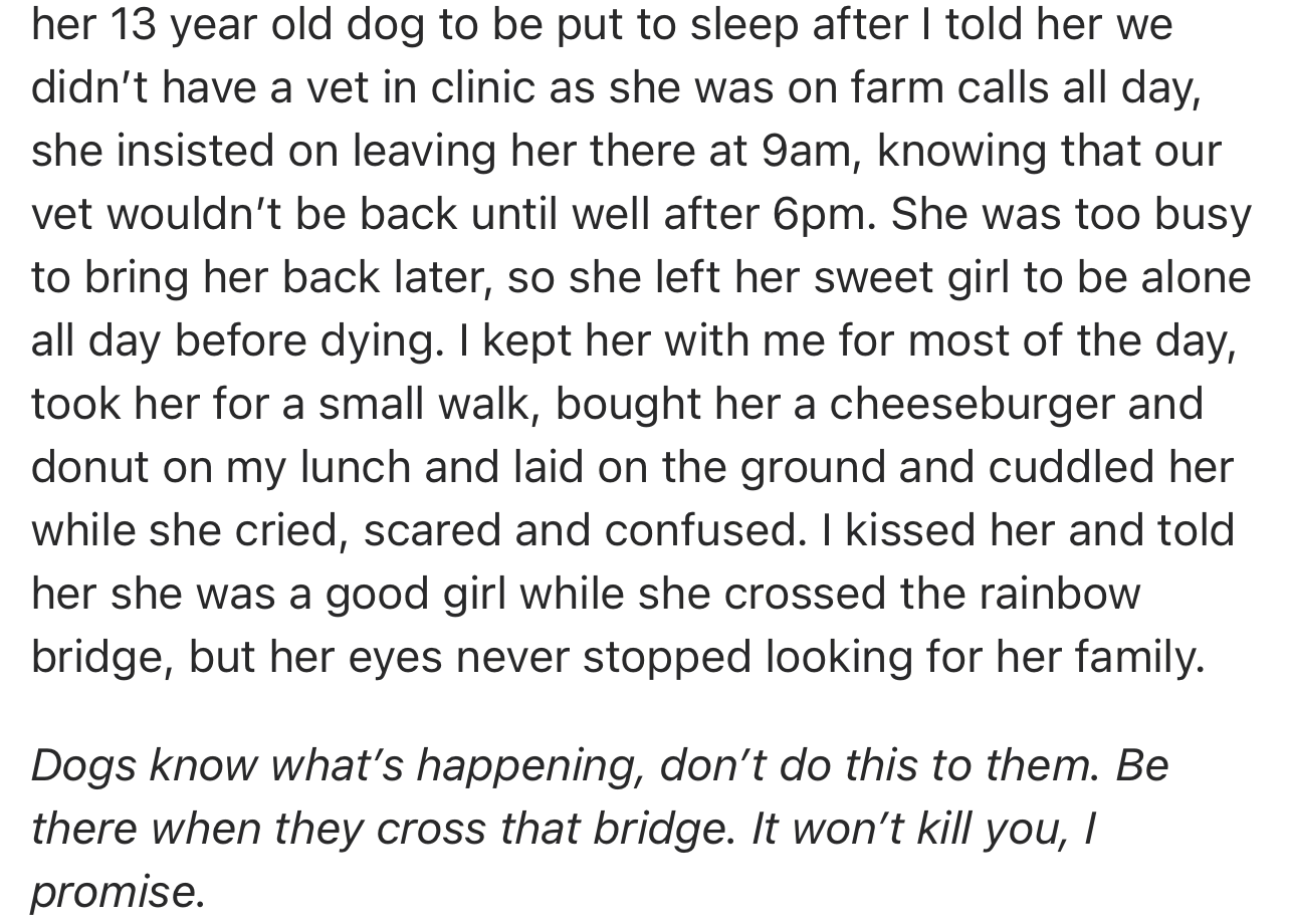 They go further to advise dog owners to ensure that they’re beside their fur buddy when it crosses to the other side