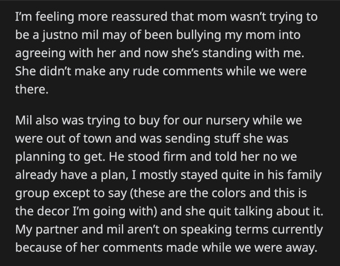 OP's partner also finally had enough of his mother's intrusion and told her to stop buying things for their baby's nursery because they have a plan already in place