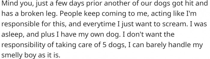 Just a few days before that, their other dog had been hit. The whole family approaches OP, even though they are not responsible for them.