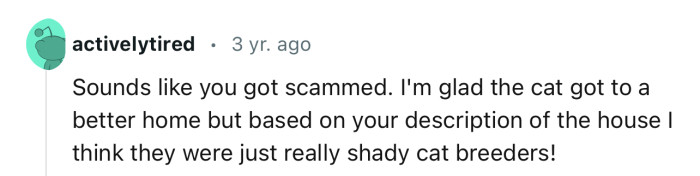 The Woman Is Definitely a Shady Cat Breeder