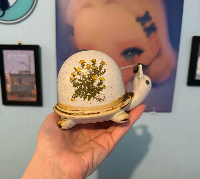 "Free Bin Score! Snail Tape Dispenser"