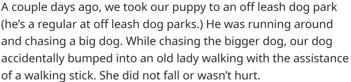 They took the puppy to an off-leash dog park to play and run around. While running, the dog accidentally bumped into an old lady.