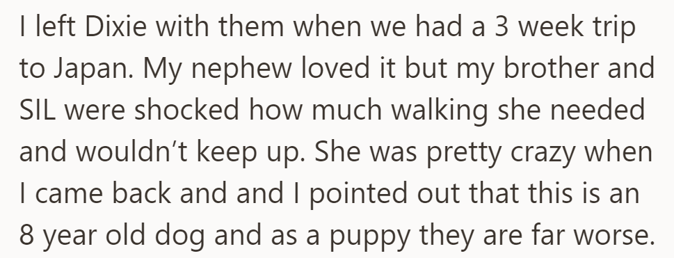 During a trip to Japan, OP left Dixie with their brother and sister-in-law. They were surprised by her exercise needs, though their nephew enjoyed her company.