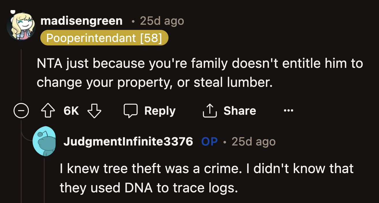OP was pleasantly surprised at how seriously law enforcement took tree theft.