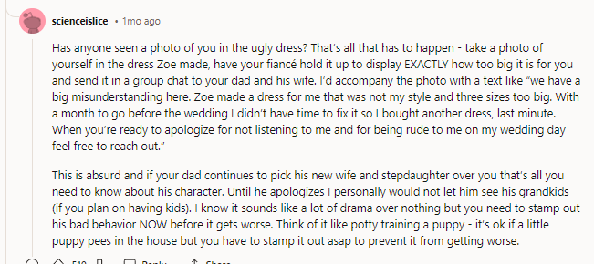 If you have a sketch of the dress you both agreed upon, I would include it in the post as well.