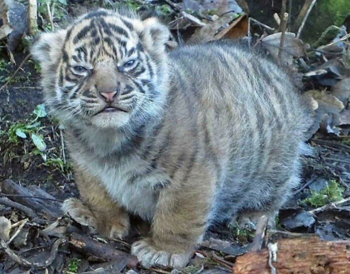 "This Picture Made My Day"