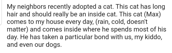When Your Neighbor's Cat Loves You More