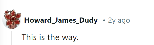 Embracing life with the confidence of a Mandalorian on a mission. This is the way.