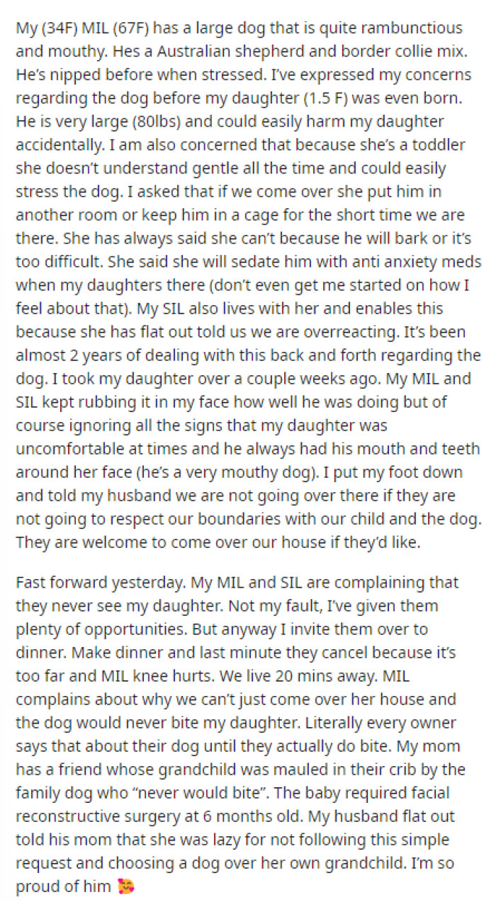OP explains her situation and shares that she has concerns about the dog being around her daughter and, overall, the whole situation with her in-laws not seeing their grandchild.