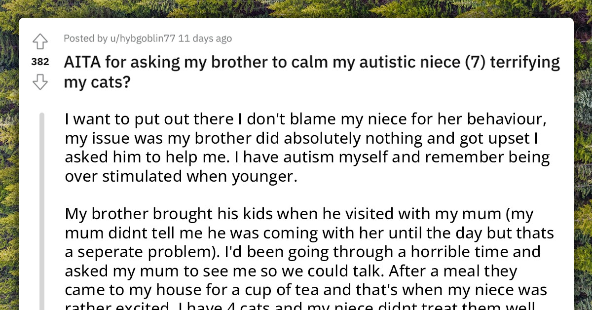 Redditor Has Her Niece Over And She Starts Molesting Her Cats, Gets Furious At Her Brother For Not Reacting