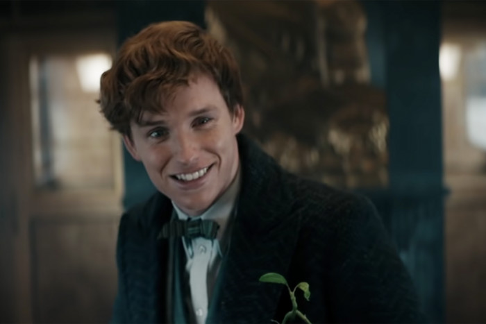 4. Newt Scamander from Fantastic Beasts and Where to Find Them: