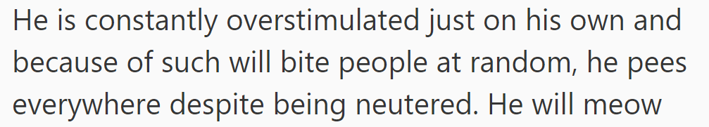 The cat is frequently overstimulated, randomly biting people and urinating indoors despite being neutered.