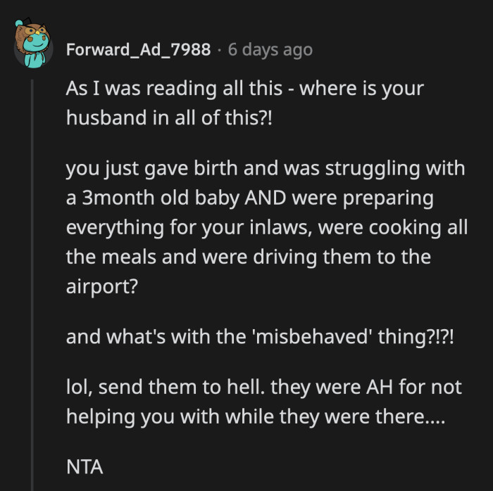Still, they questioned what he was contributing while OP was running around doing everything to make his parents comfortable and taking care of a newborn