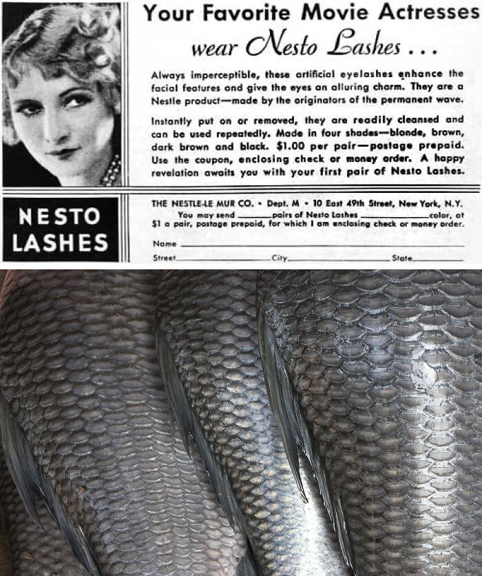 Fish Scale False Eyelashes