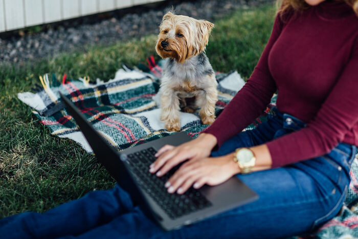 "I pet my laptop thinking it was my dog."