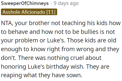 Fulfilling their son's birthday wish wasn't cruel; they are facing the consequences of their actions.
