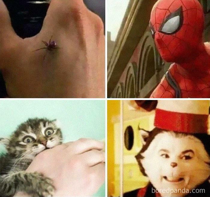 36. Okay, just mind what bites you