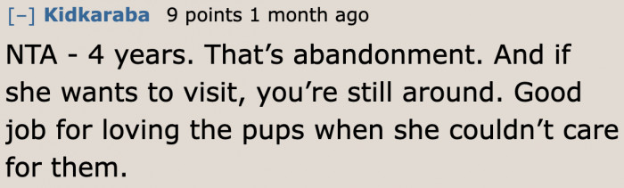 Leaving the dogs for four years is already considered abandonment.