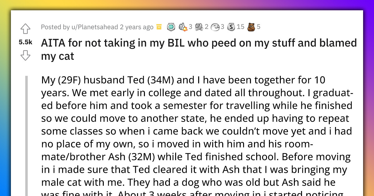Redditor Shocked After Finding Out That Her Brother-In-Law Was Peeing On Her Stuff And Blaming It On Her Cat