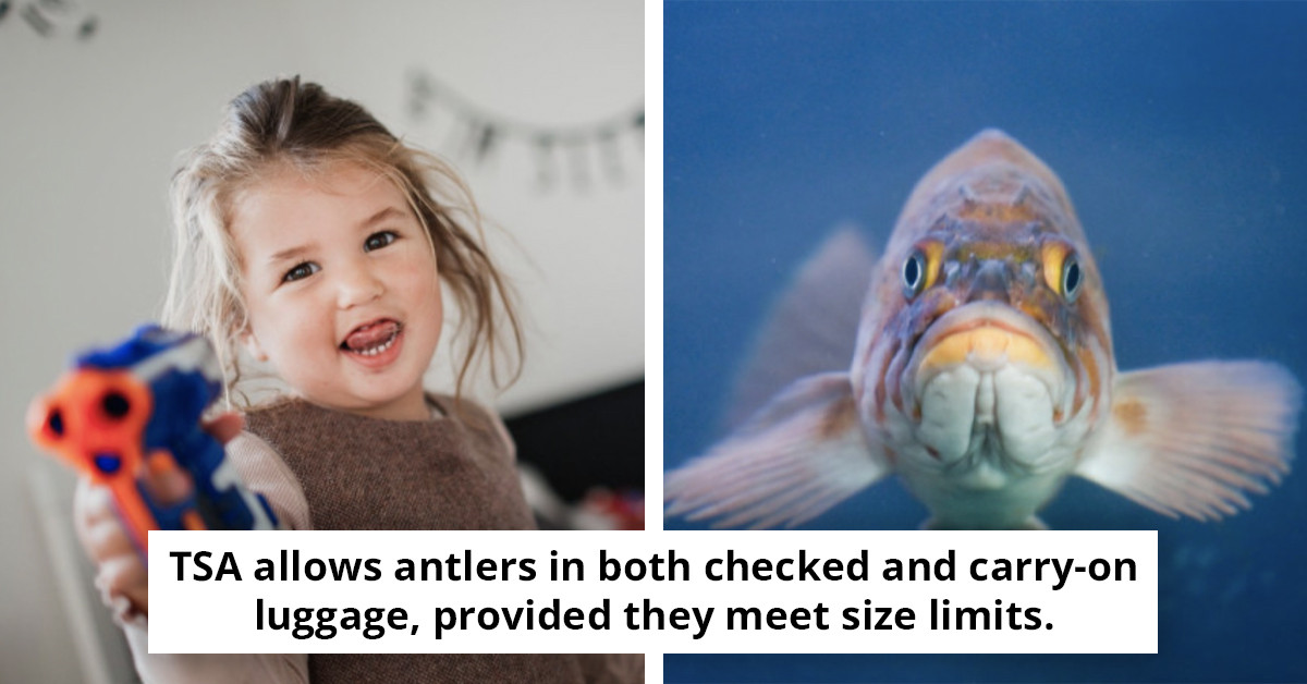 10 Unusual Items You Can Surprisingly Bring Through TSA Security